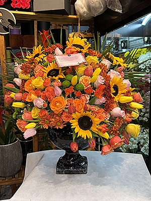 VIP zel Renklerde Arajman